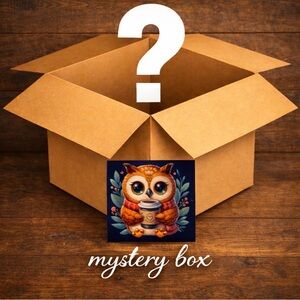 Curated Earrings Mystery Box Choose Your Vibe Artisan Handcrafted Jewelry